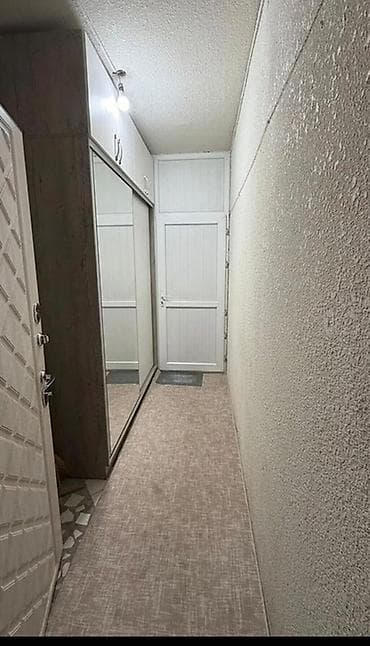 106: 3 комнаты, 66 м², 106 серия, 9 этаж, Евроремонт — 9
