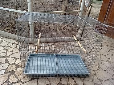 кекилик алам: Сетка для птиц попугай амадин 2500 70/60/36 — 2