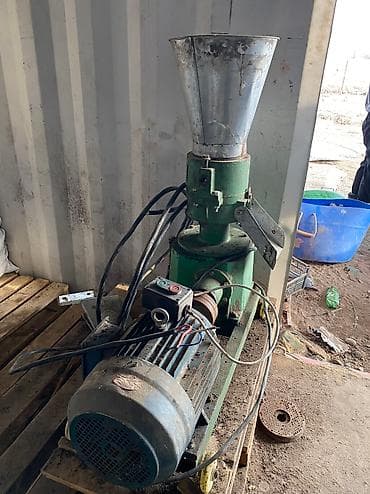 Услуги ветеринара: Продаю | Бык (самец) — 6