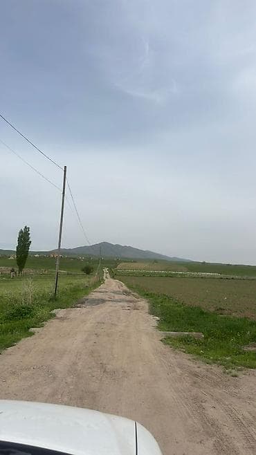 haunted mound: 78 соток, Для сельского хозяйства — 8