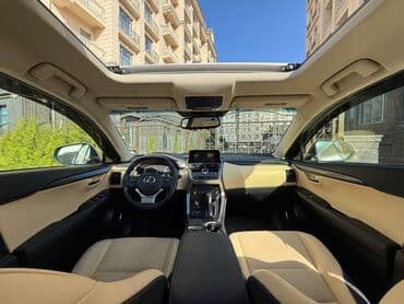 шины r16c: Lexus NX: 2019 г., Автомат, Кроссовер — 1