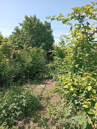 земля: Продаю дом совхоз ада тоо, участок 11соток, дом 4 к, кух, баня, гараж — 8