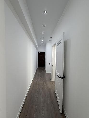 Недвижимость: 2 комнаты, 47 м², Бишкек Парк ТРЦ Индивидуалка, 4 этаж, Евроремонт — 5