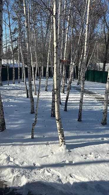 пруды: Продается кирпичный дом Дом в Токмоке, 5 комнат 11 соток красная — 2