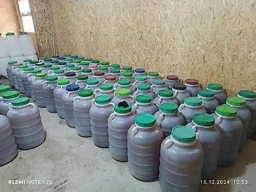 токмок мебел: Токтогульский горный мёд только оптом гарантия качества без — 3