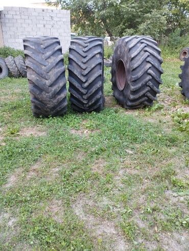 Продажа грузовых и сельхоз покрышек ( колеса)на спец технику,фуры