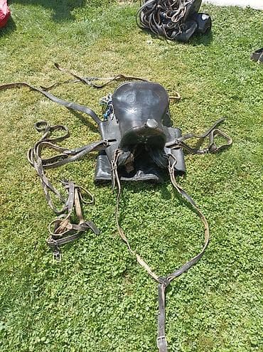 спортивный седло: Продаю кожаные сёдла в комплекте. (6 шт делали на заказ) катали — 1