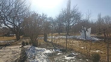 ленинская: 22 соток, Для строительства, Красная книга — 4