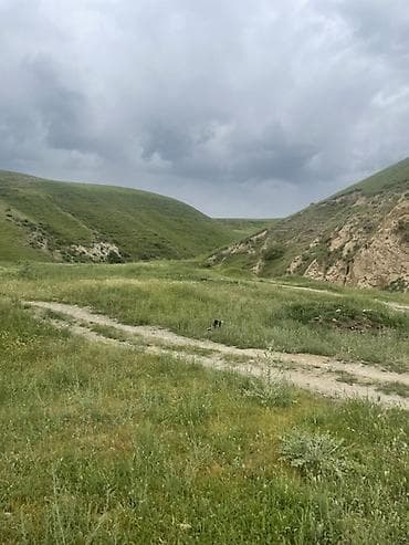 финский дом: 10 соток, Для строительства — 4