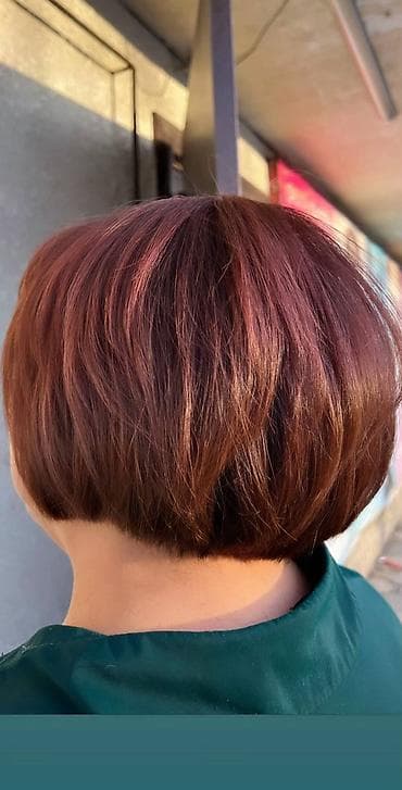 стрижка животных на дому: Парикмахер, Покраска, Вечерние прически, Выпрямление, С выездом на дом — 10