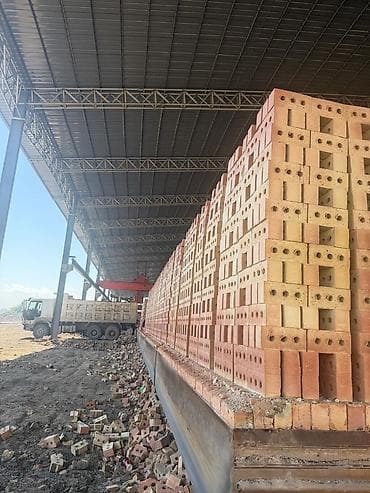 дерево на дрова: Пустотелый, дырчатый, Жженый кирпич, Полублок, 250×120×90 — 5