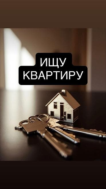 Кыймылсыз мүлк: 2 бөлмө, Аламедин-1 мкр Менчик ээси, Жаныбарлар менен болот, 1 жылдан баштап, Толугу менен эмереги бар, Жарым -жартылай эмереги бар — 1