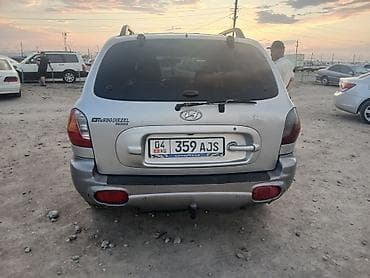 полик для саната: Hyundai Santa Fe: 2003 г., 2.4 л, Автомат, Дизель, Кроссовер — 3