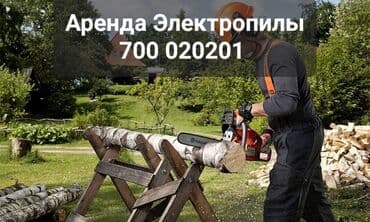 Сдам в аренду