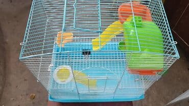 фелуцен для коров цена бишкек: Продаю клетки для хомячков. б/у. дёшево. от 400 до 1200 сом. также в — 8
