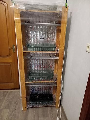 projector screen: Продам деревянный стеллаж для рассады с таймером, подсветкой, ячейками — 2