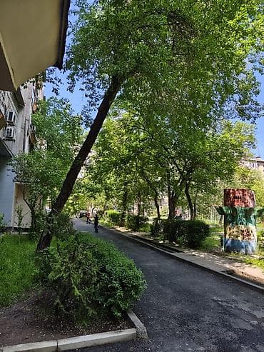 Уборка территории, Уход за деревьями