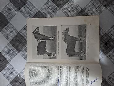 Книги и журналы: Продаю редкую книгу. Тираж-25тыс .экз. Год выпуска 1952. ( Москва ) — 4