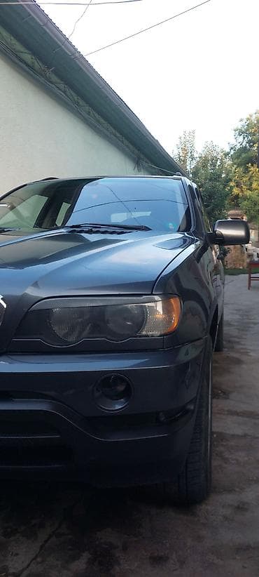 семерка ош: BMW X5: 2002 г., 3 л, Автомат, Бензин, Кроссовер — 2