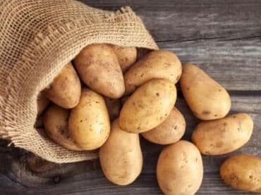 пахта майы: Жүзүм — 4