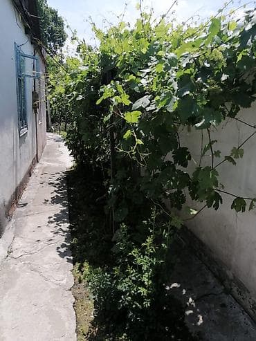 продаю кв барачного типа: 3 комнаты, 55 м², 1 этаж, Косметический ремонт — 8