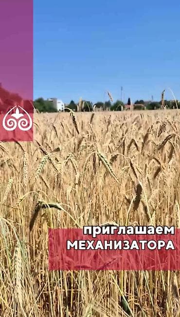 грузчики вакансии: 🔧 Ищем механизатора Обязанности: Работа с сельхозкультурами (посев — 1