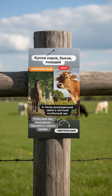 домик для животных: Куплю | Коровы, быки | Круглосуточно — 1