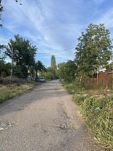 Жер тилкелери: 4 соток, Бизнес үчүн, Кызыл китеп — 5