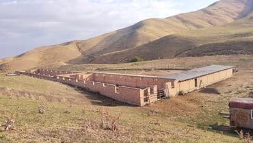 Строительство делаем все текстура, штукатурка, крыша