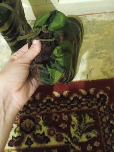 сапоги зимние женские натуральная кожа натуральный мех распродажа: ЛИСТАЙ!!!Продам игрушки и сапожки детские б/у Доска для рисования б/у — 7