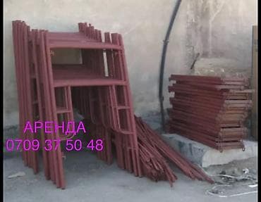 Сдаю леса в аренду