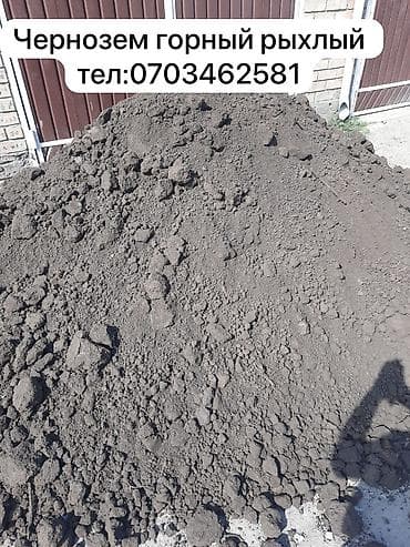 мёд токтогулский: Акысыз жеткирүү, Зил — 1