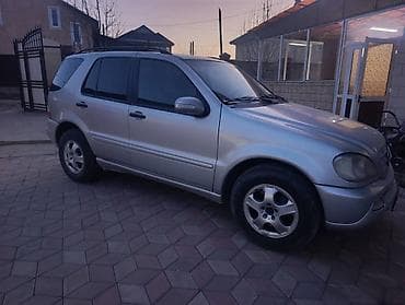 эшик б у: Mercedes-Benz ML-Class: 2002 г., 2.7 л, Автомат, Дизель, Кроссовер — 3