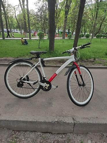 s 140: Городской велосипед, Рама XXL (190 - 210 см) — 1