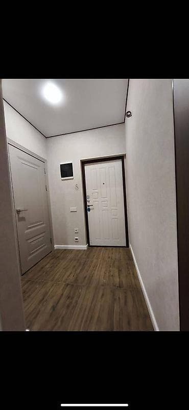 Кыймылсыз мүлк: 1 бөлмө, 42 м², Элитка, 7 кабат, Евроремонт — 6