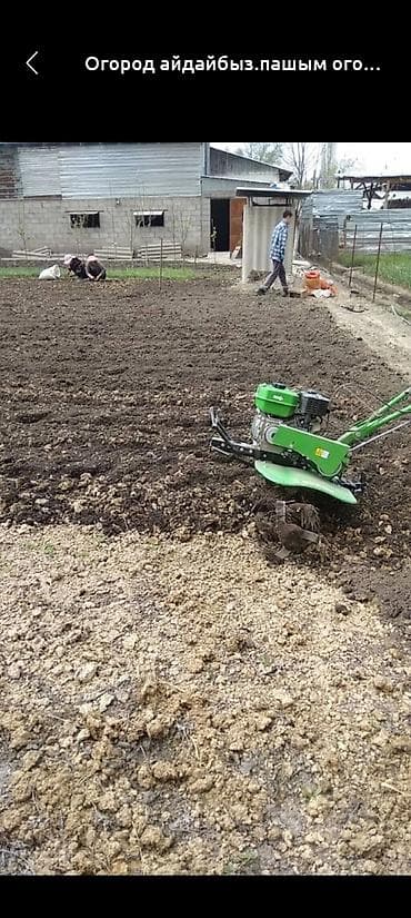 Клининг кызматтары: Аймактарды жыйнап тазалоо, Уборка двора и сада — 3