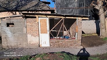 участок озгур: Карабалта пад бизнес ул
фрунзенская дом 38 — 10