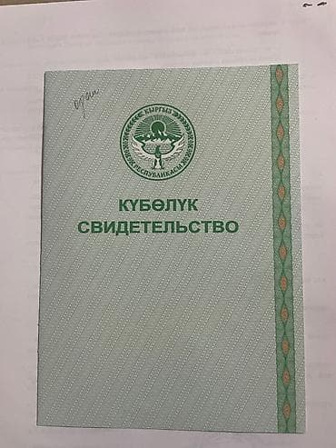 гараж бишкек: 100 соток, Красная книга — 3