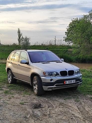 BMW X5: 2002 г., 3 л, Автомат, Бензин, Кроссовер