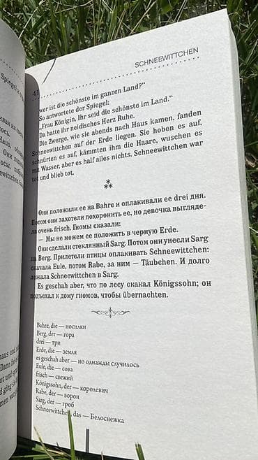 Учебники: Книга “Die Brüder Grimm. Die besten deutschen Märchen / Лучшие — 3