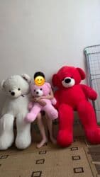 купить хаги ваги в бишкеке: Игрушки — 4