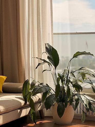 секс гей бишкек: 3 комнаты, 93 м², Элитка, 10 этаж, Евроремонт — 4
