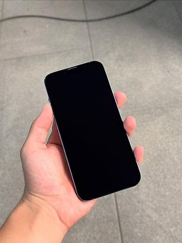 video camera: IPhone 13 Pro Max, 256 ГБ, Sierra Blue — 5