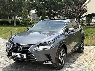 vin code: Lexus NX: 2019 г., 2 л, Автомат, Бензин, Кроссовер — 3