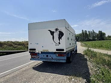 bad e2: Легкий грузовик, Mercedes-Benz, Стандарт — 4