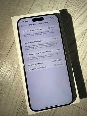 ipad pro 2017: IPhone 16 Pro Max, Б/у, 256 ГБ, Natural Titanium, Коробка, 95 % — 5