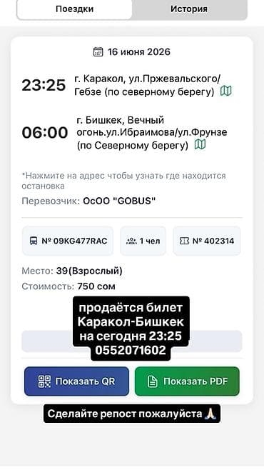 sprinter 413: Пункт назначения: Бишкек, Количество мест: Другое количество — 1