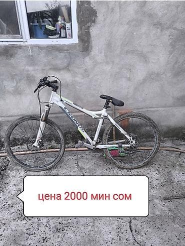 покос газона: Уборка территории, Стрижка газона — 4