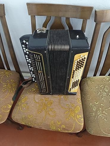 Музыкальные инструменты: Баян кнопочный - Тип: двухрядный/трёхрядный кнопочный баян с правой — 1