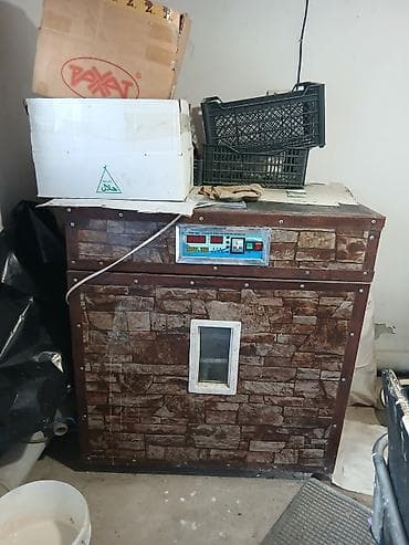 инкубато: Продаю!!! Передаю!!! Готовый бизнес 100% на ход поставленный!!! И — 5